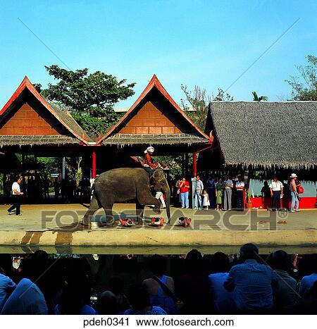 performance, sightseeing, tourism, travel place, Southern Asia, Taiwan, Eastern Asia View Large Photo Image Stock Image - performance, sightseeing, tourism, travel place, Southern Asia, Taiwan, Eastern Asia. Fotosearch