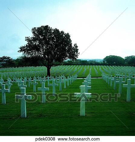 public cemetery, park, sightseeing, tourism, monument, memorial, tree View Large Photo Image Stock Photo - public cemetery, park, sightseeing, tourism, monument, memorial, tree. Fotosearch