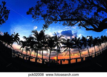 Southern Asia, sightseeing, tree, cloud, tourism, red sky, 0548 View Large Photo Image Stock Photo - Southern Asia, sightseeing, tree, cloud, tourism, red sky, 0548. Fotosearch