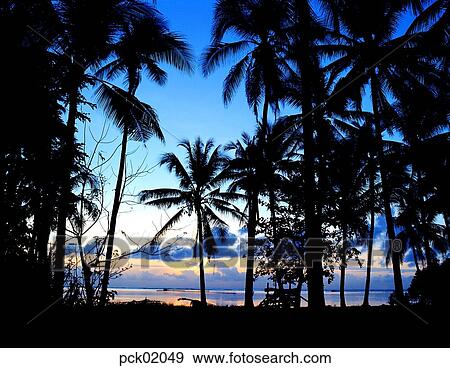 Stock Photo - Southern Asia, sightseeing, tree, cloud, tourism, red sky, 0633. Fotosearch