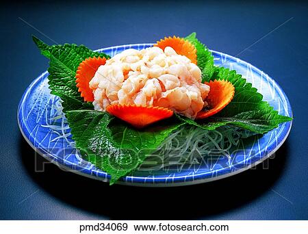 sea eel, conger, conger raw fish, raw fish, common conger, conger eel View Large Photo Image Stock Photo - sea eel, conger, conger raw fish, raw fish, common conger, conger eel. Fotosearch