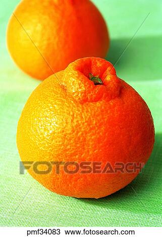 persimmon orange, mandarin, tangerin, orange, mandarin, tangerin View Large Photo Image Stock Image - persimmon orange, mandarin, tangerin, orange, mandarin, tangerin. Fotosearch