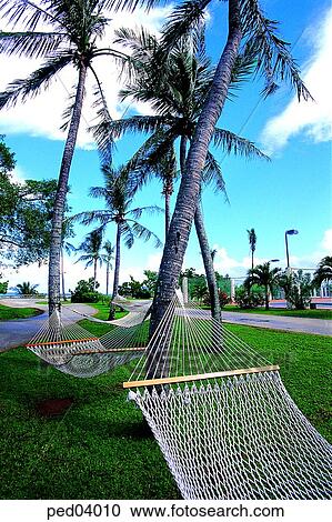 Stock Image - sightseeing, tourism, sightseeing, tourism, Guam, net, day. Fotosearch