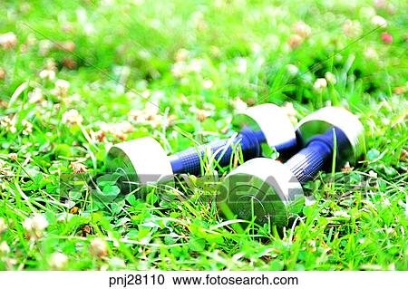 day, human, people, sport, sports goods, outdoor View Large Photo Image Stock Image - day, human, people, sport, sports goods, outdoor. Fotosearch