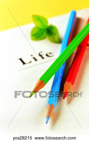 leaf, leaves, day, book, books, thing View Large Photo Image Stock Photography - leaf, leaves, day, book, books, thing. Fotosearch