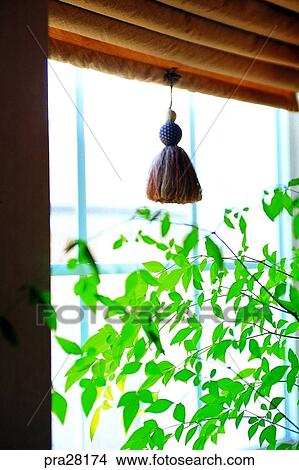 sitting room, parlor, living room, leaf, leaves, day, roman shade View Large Photo Image Picture - sitting room, parlor, living room, leaf, leaves, day, roman shade. Fotosearch