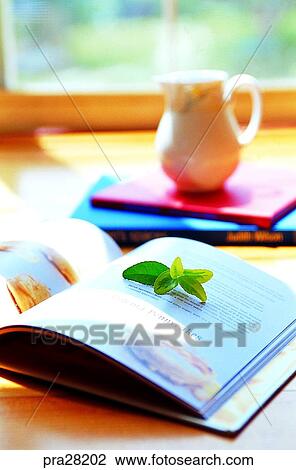 sitting room, parlor, living room, leaf, leaves, day, book View Large Photo Image Stock Image - sitting room, parlor, living room, leaf, leaves, day, book. Fotosearch