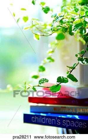 sitting room, parlor, living room, leaf, leaves, day, book View Large Photo Image Stock Image - sitting room, parlor, living room, leaf, leaves, day, book. Fotosearch