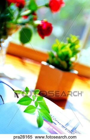 sitting room, parlor, living room, flower, flowers, leaf, leaves View Large Photo Image Stock Photography - sitting room, parlor, living room, flower, flowers, leaf, leaves. Fotosearch