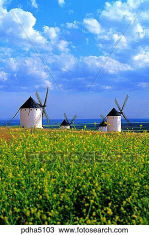 day, wild flower, Spain, outdoor, outdoors, outside View Large Photo Image Stock Image - day, wild flower, Spain, outdoor, outdoors, outside. Fotosearch