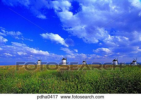 day, wild flower, Spain, outdoor, outdoors, outside View Large Photo Image Stock Photo - day, wild flower, Spain, outdoor, outdoors, outside. Fotosearch