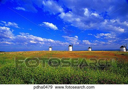 day, wild flower, Spain, outdoor, outdoors, outside View Large Photo Image Stock Photo - day, wild flower, Spain, outdoor, outdoors, outside. Fotosearch