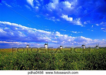 day, wild flower, Spain, outdoor, outdoors, outside View Large Photo Image Stock Photograph - day, wild flower, Spain, outdoor, outdoors, outside. Fotosearch
