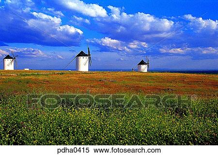 day, wild flower, Spain, outdoor, outdoors, outside View Large Photo Image Stock Photography - day, wild flower, Spain, outdoor, outdoors, outside. Fotosearch