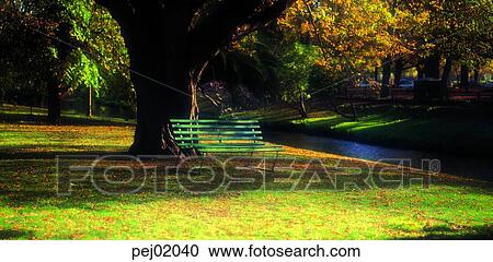 池 公園 ベンチ 椅子 木 芝生 秋 ストックイメージ Pej040 Fotosearch