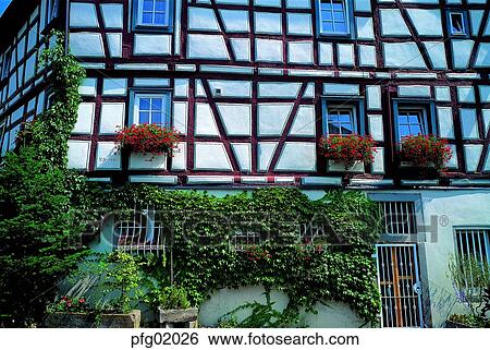 building, architecture, structure, day, detached house, independent house, ivy View Large Photo Image Stock Photograph - building, architecture, structure, day, detached house, independent house, ivy. Fotosearch