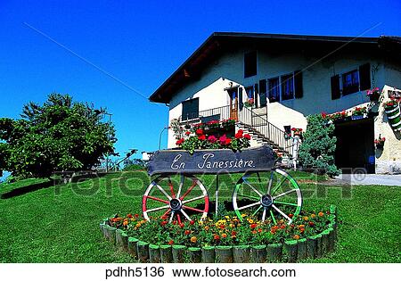 common marigold, yellow ox eye, yellow, flowers, flower field, day, detached house View Large Photo Image Stock Photograph - common marigold, yellow ox eye, yellow, flowers, flower field, day, detached house. Fotosearch