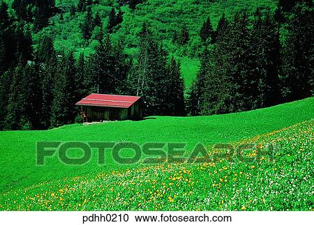 Stock Image - plateau, table-land, country, countries, tree, trees. Fotosearch