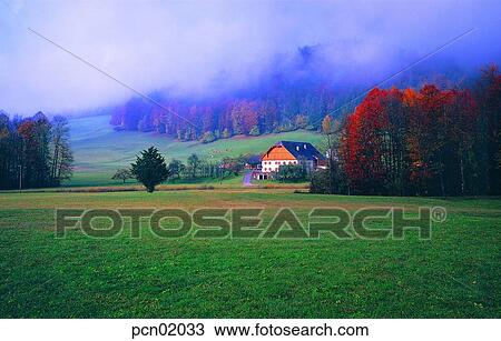 tree, trees, day, detached house, independent house, field, stock farm View Large Photo Image Stock Image - tree, trees, day, detached house, independent house, field, stock farm. Fotosearch