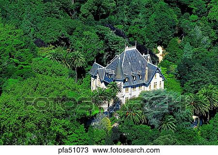 Stock Image - tree, trees, day, detached house, independent house, motel, motels. Fotosearch