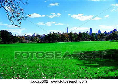lawn, New York, field, lawn field, Central Park, park, America View Large Photo Image Stock Image - lawn, New York, field, lawn field, Central Park, park, America. Fotosearch