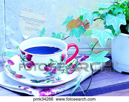 coffee cup, teacup, teacups, coffee, tea, ivy, leaf View Large Photo Image Stock Photograph - coffee cup, teacup, teacups, coffee, tea, ivy, leaf. Fotosearch