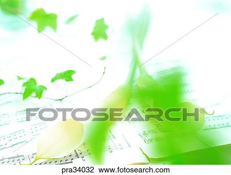 Stock Image - flower, flowers, calla, lily, one flower, musical, note. Fotosearch