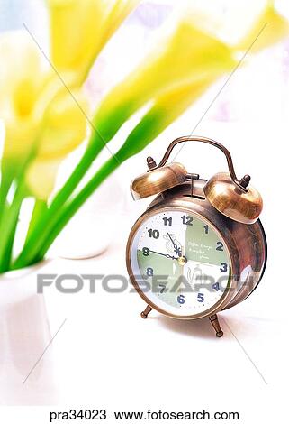 flower, flowers, petal, calla, lily, many flowers, watch View Large Photo Image Stock Image - flower, flowers, petal, calla, lily, many flowers, watch. Fotosearch