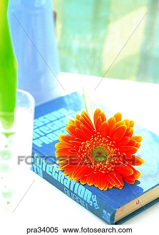 Stock Photography - flower, flowers, petal, plant, vegetation, one flower, book. Fotosearch