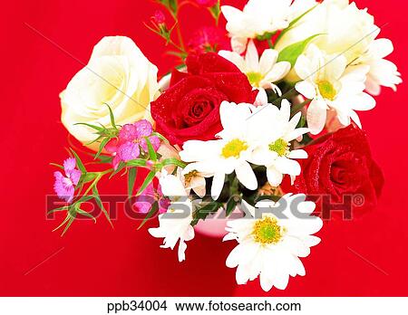 flower, flowers, plant, vegetation, petal, nature, naturalism View Large Photo Image Picture - flower, flowers, plant, vegetation, petal, nature, naturalism. Fotosearch