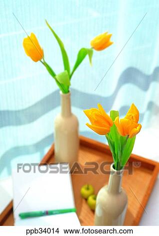 flower, flowers, plant, vegetation, petal, indoor, interior View Large Photo Image Picture - flower, flowers, plant, vegetation, petal, indoor, interior. Fotosearch