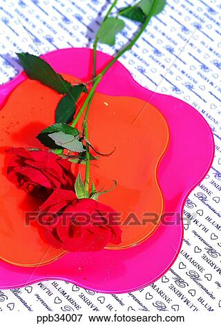 flower, flowers, plant, vegetation, petal, nature, naturalism View Large Photo Image Stock Photo - flower, flowers, plant, vegetation, petal, nature, naturalism. Fotosearch