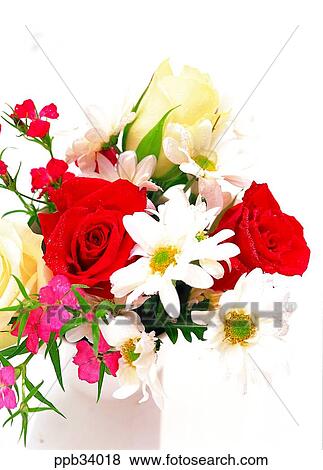 flower, flowers, plant, vegetation, petal, nature, naturalism View Large Photo Image Stock Photo - flower, flowers, plant, vegetation, petal, nature, naturalism. Fotosearch