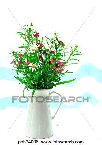 flower, flowers, plant, vegetation, petal, nature, naturalism View Large Photo Image Stock Photograph - flower, flowers, plant, vegetation, petal, nature, naturalism. Fotosearch