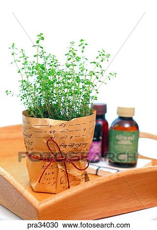 lavender, leaf, leaves, liquid, fluid, bottle, medicine bottle View Large Photo Image Stock Image - lavender, leaf, leaves, liquid, fluid, bottle, medicine bottle. Fotosearch