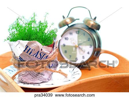 plant, vegetation, flowerpot, herb, leaf, leaves, alarm clock View Large Photo Image Stock Photo - plant, vegetation, flowerpot, herb, leaf, leaves, alarm clock. Fotosearch