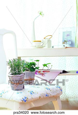 plant, vegetation, flowerpot, leaf, leaves, herb, health View Large Photo Image Stock Image - plant, vegetation, flowerpot, leaf, leaves, herb, health. Fotosearch