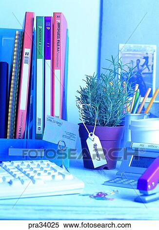 plant, vegetation, leaf, leaves, herb, flowerpot, health View Large Photo Image Stock Photography - plant, vegetation, leaf, leaves, herb, flowerpot, health. Fotosearch