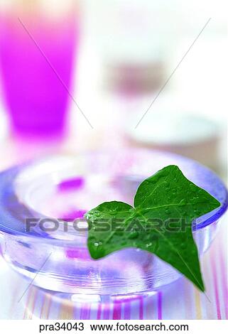 Stock Image - plant, vegetation, leaf, leaves, decoration, decorations, decoration. Fotosearch