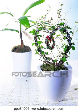 plant, vegetation, leaf, leaves, nature, naturalism, person View Large Photo Image Stock Photograph - plant, vegetation, leaf, leaves, nature, naturalism, person. Fotosearch