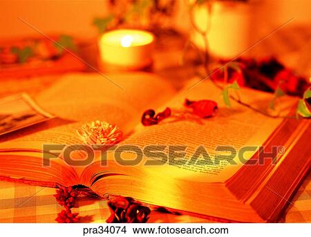 living, life, book, books, reading, flower, petal View Large Photo Image Picture - living, life, book, books, reading, flower, petal. Fotosearch