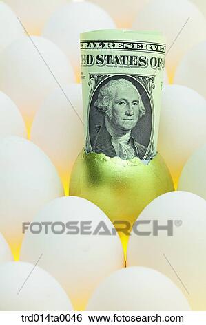 economy, concept, object, still life, accessory, accessories View Large Photo Image Stock Photograph - economy, concept, object, still life, accessory, accessories. Fotosearch