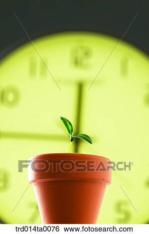 Stock Photograph - object, still life, business, accessory, accessories, flowerpot. Fotosearch