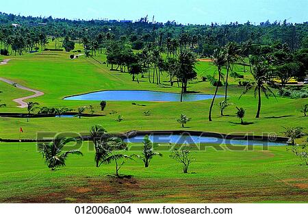 golf club, golf field, lawn, lawn, field, bunker View Large Photo Image Picture - golf club, golf field, lawn, lawn, field, bunker. Fotosearch