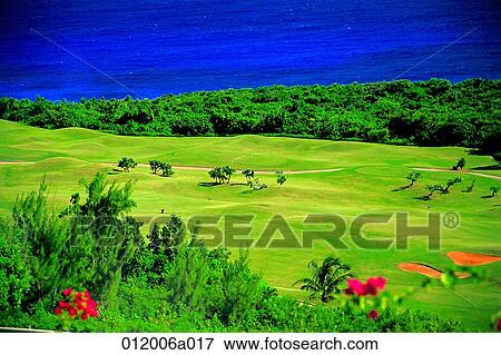 golf club, golf field, lawn, lawn, field, hill, bunker View Large Photo Image Stock Photo - golf club, golf field, lawn, lawn, field, hill, bunker. Fotosearch