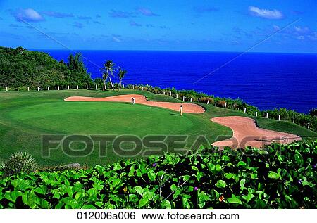 golf club, golf field, lawn, lawn, field, sea View Large Photo Image Stock Photograph - golf club, golf field, lawn, lawn, field, sea. Fotosearch