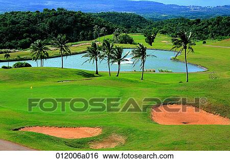 golf club, golf field, lawn, lawn, field, hill, bunker View Large Photo Image Stock Photograph - golf club, golf field, lawn, lawn, field, hill, bunker. Fotosearch