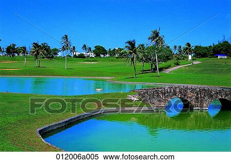 golf club, golf field, lawn, lawn, field, bunker View Large Photo Image Stock Photography - golf club, golf field, lawn, lawn, field, bunker. Fotosearch