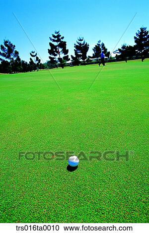 golf field, golf club, field, lawn, golf ball, Surfers Paradise, Lakeside Golf Club House View Large Photo Image Stock Image - golf field, golf club, field, lawn, golf ball, Surfers Paradise, Lakeside Golf Club House. Fotosearch