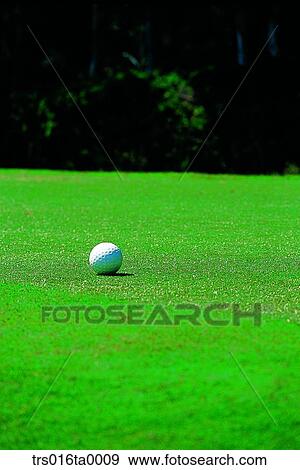 golf field, golf club, field, lawn, golf ball, Surfers Paradise, Lakeside Golf Club House View Large Photo Image Stock Photo - golf field, golf club, field, lawn, golf ball, Surfers Paradise, Lakeside Golf Club House. Fotosearch
